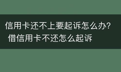 信用卡还不上要起诉怎么办？ 借信用卡不还怎么起诉