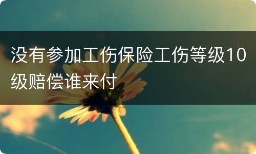没有参加工伤保险工伤等级10级赔偿谁来付