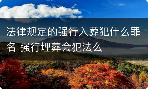 法律规定的强行入葬犯什么罪名 强行埋葬会犯法么