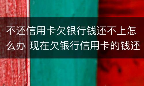 不还信用卡欠银行钱还不上怎么办 现在欠银行信用卡的钱还不上怎么办呀