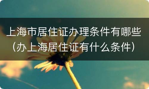 上海市居住证办理条件有哪些（办上海居住证有什么条件）