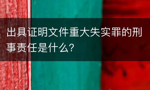 出具证明文件重大失实罪的刑事责任是什么？