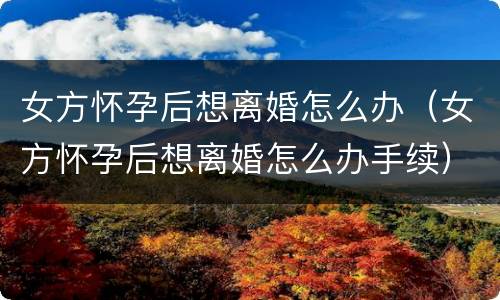 女方怀孕后想离婚怎么办（女方怀孕后想离婚怎么办手续）