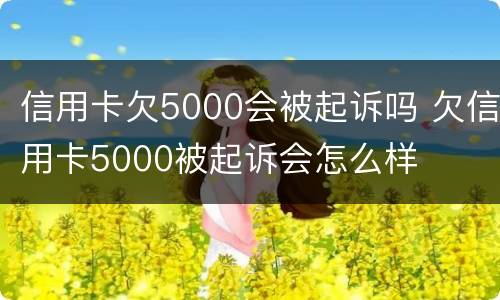 信用卡欠5000会被起诉吗 欠信用卡5000被起诉会怎么样