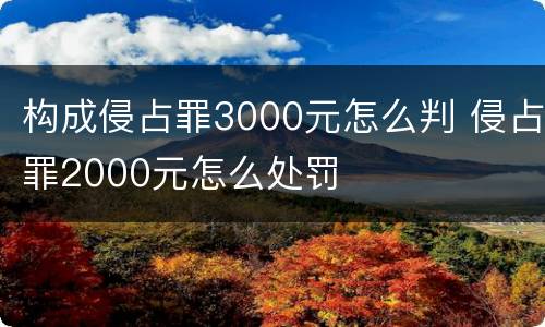 构成侵占罪3000元怎么判 侵占罪2000元怎么处罚