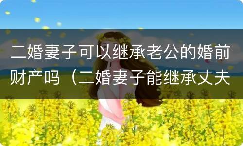 二婚妻子可以继承老公的婚前财产吗（二婚妻子能继承丈夫继续的遗产吗?）