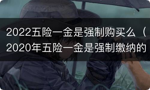 2022五险一金是强制购买么（2020年五险一金是强制缴纳的吗）