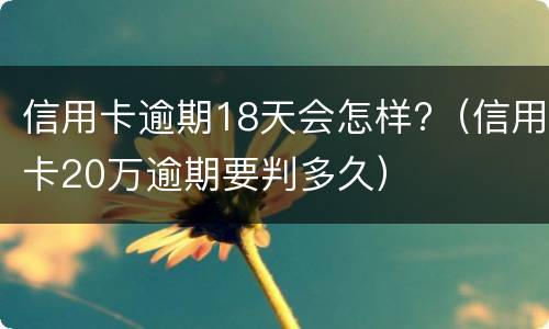 信用卡逾期18天会怎样?（信用卡20万逾期要判多久）