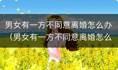 男女有一方不同意离婚怎么办（男女有一方不同意离婚怎么办理）