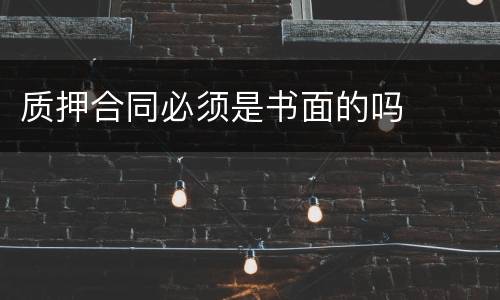 质押合同必须是书面的吗