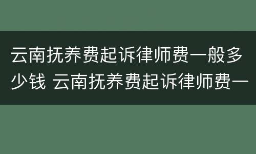 云南抚养费起诉律师费一般多少钱 云南抚养费起诉律师费一般多少钱啊