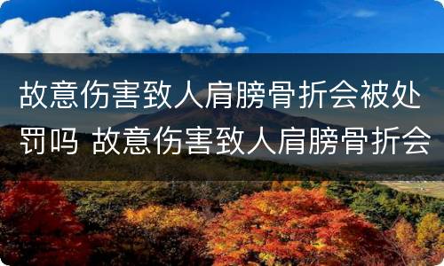 故意伤害致人肩膀骨折会被处罚吗 故意伤害致人肩膀骨折会被处罚吗