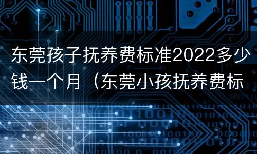 东莞孩子抚养费标准2022多少钱一个月（东莞小孩抚养费标准一月多少钱）