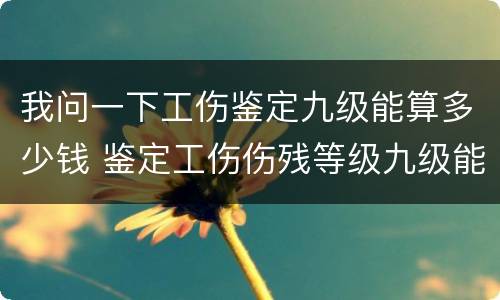 我问一下工伤鉴定九级能算多少钱 鉴定工伤伤残等级九级能赔多少钱