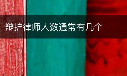辩护律师人数通常有几个