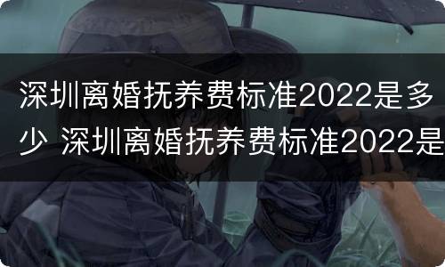 深圳离婚抚养费标准2022是多少 深圳离婚抚养费标准2022是多少钱