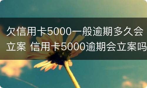 欠信用卡5000一般逾期多久会立案 信用卡5000逾期会立案吗