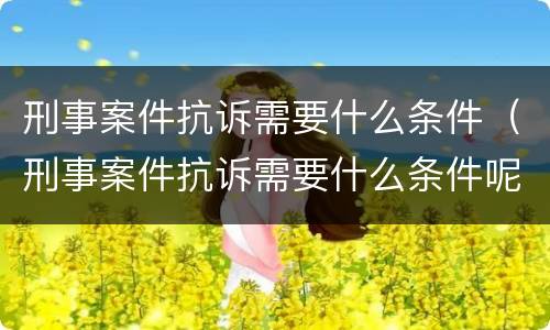 刑事案件抗诉需要什么条件（刑事案件抗诉需要什么条件呢）