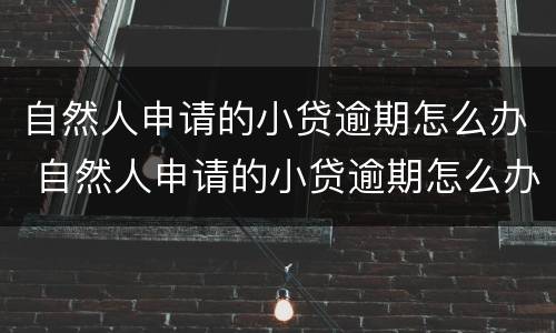 自然人申请的小贷逾期怎么办 自然人申请的小贷逾期怎么办理