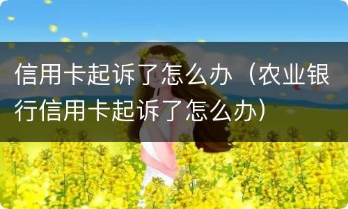 信用卡起诉了怎么办（农业银行信用卡起诉了怎么办）