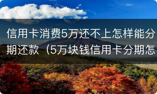 信用卡消费5万还不上怎样能分期还款（5万块钱信用卡分期怎么还）