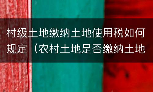 村级土地缴纳土地使用税如何规定（农村土地是否缴纳土地使用税）
