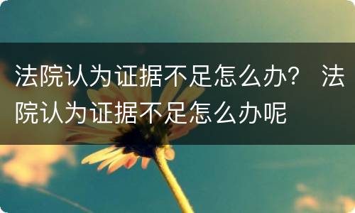 法院认为证据不足怎么办？ 法院认为证据不足怎么办呢