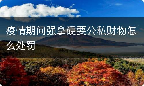 疫情期间强拿硬要公私财物怎么处罚