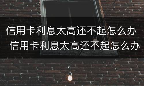 信用卡利息太高还不起怎么办 信用卡利息太高还不起怎么办 银行不给分期