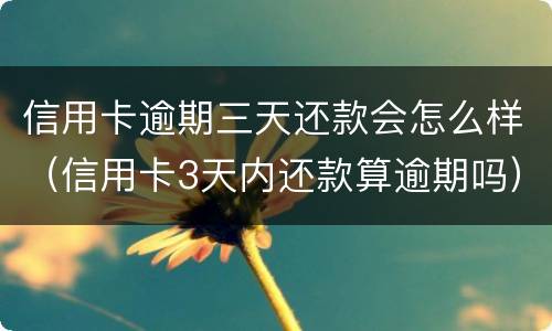 信用卡逾期三天还款会怎么样（信用卡3天内还款算逾期吗）