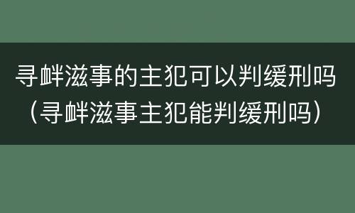 寻衅滋事的主犯可以判缓刑吗（寻衅滋事主犯能判缓刑吗）