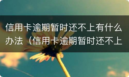 信用卡逾期暂时还不上有什么办法（信用卡逾期暂时还不上有什么办法恢复）