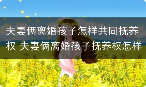 夫妻俩离婚孩子怎样共同抚养权 夫妻俩离婚孩子抚养权怎样争