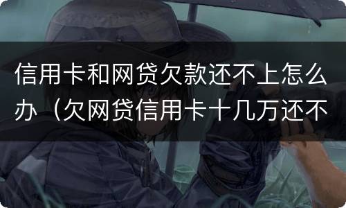 信用卡和网贷欠款还不上怎么办（欠网贷信用卡十几万还不上怎么办）