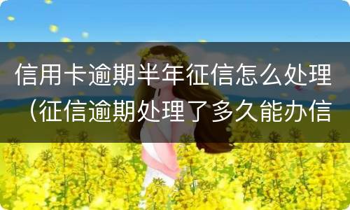 信用卡逾期半年征信怎么处理（征信逾期处理了多久能办信用卡）