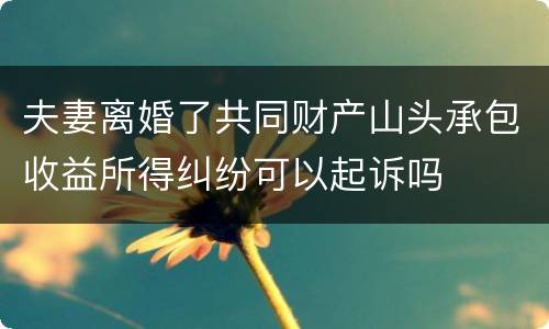 夫妻离婚了共同财产山头承包收益所得纠纷可以起诉吗