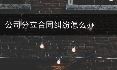 公司分立合同纠纷怎么办