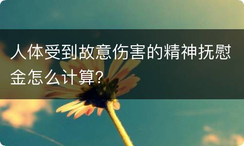 人体受到故意伤害的精神抚慰金怎么计算？