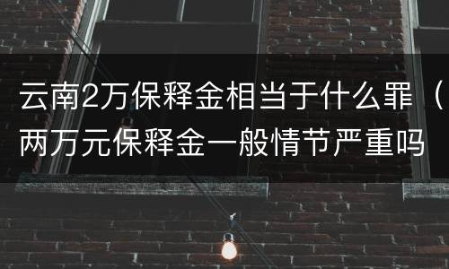 云南2万保释金相当于什么罪（两万元保释金一般情节严重吗）