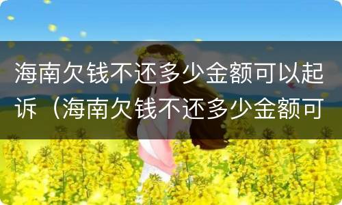 海南欠钱不还多少金额可以起诉（海南欠钱不还多少金额可以起诉公安局）