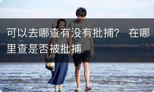 可以去哪查有没有批捕？ 在哪里查是否被批捕