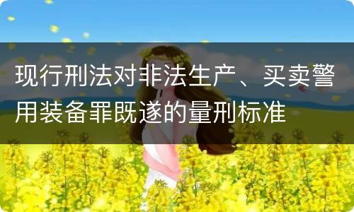 现行刑法对非法生产、买卖警用装备罪既遂的量刑标准