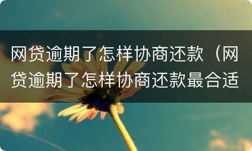 网贷逾期了怎样协商还款（网贷逾期了怎样协商还款最合适）