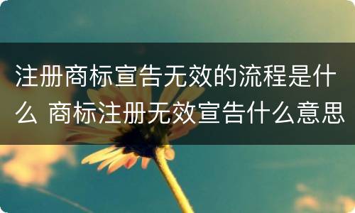 注册商标宣告无效的流程是什么 商标注册无效宣告什么意思
