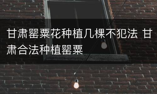 甘肃罂粟花种植几棵不犯法 甘肃合法种植罂粟