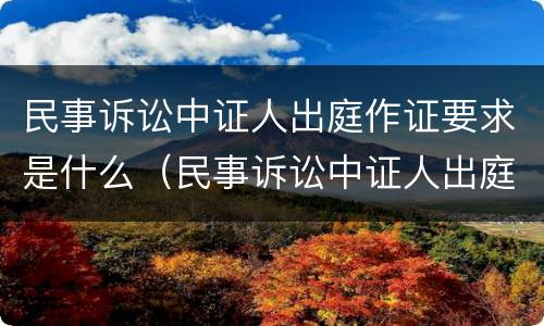 民事诉讼中证人出庭作证要求是什么（民事诉讼中证人出庭作证的流程是怎样的）