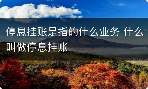 停息挂账是指的什么业务 什么叫做停息挂账