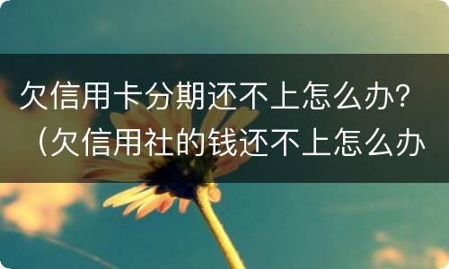 欠信用卡分期还不上怎么办？（欠信用社的钱还不上怎么办可以分期还吗）