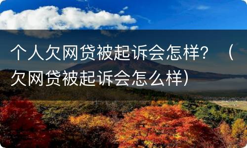 个人欠网贷被起诉会怎样？（欠网贷被起诉会怎么样）