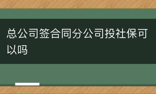 总公司签合同分公司投社保可以吗